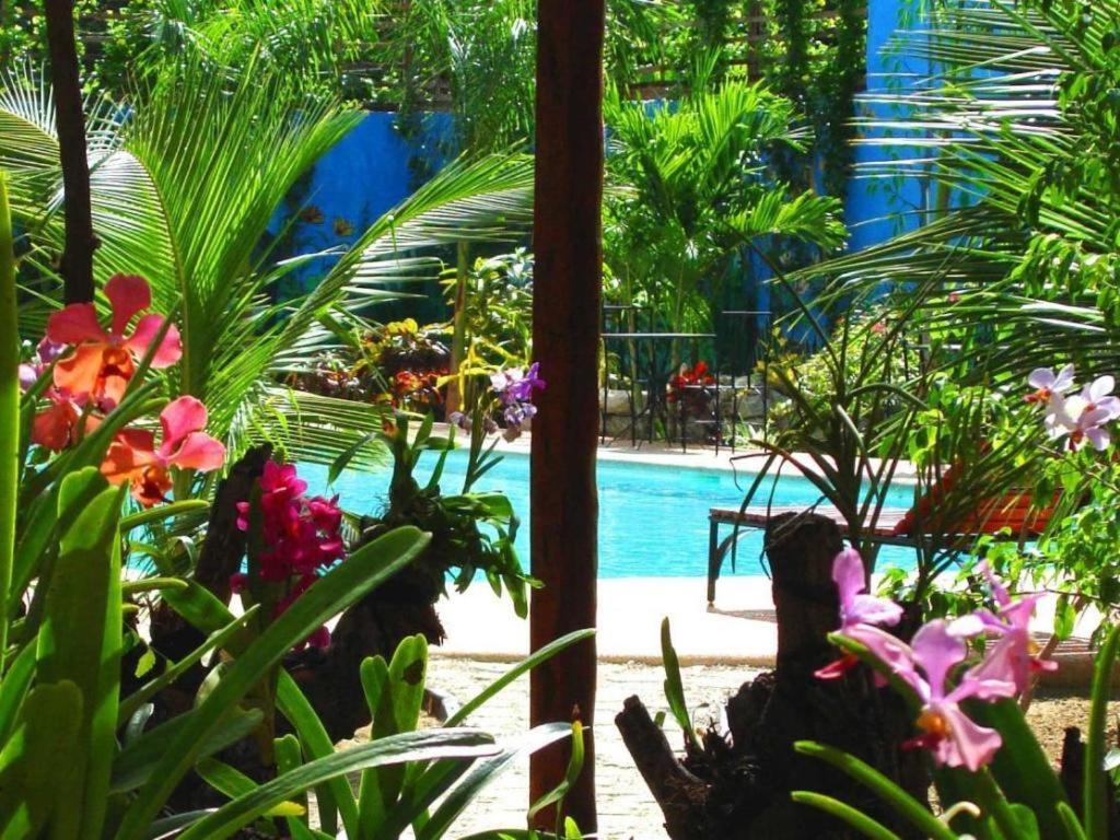 Alta Cebu Resort Kültér fotó