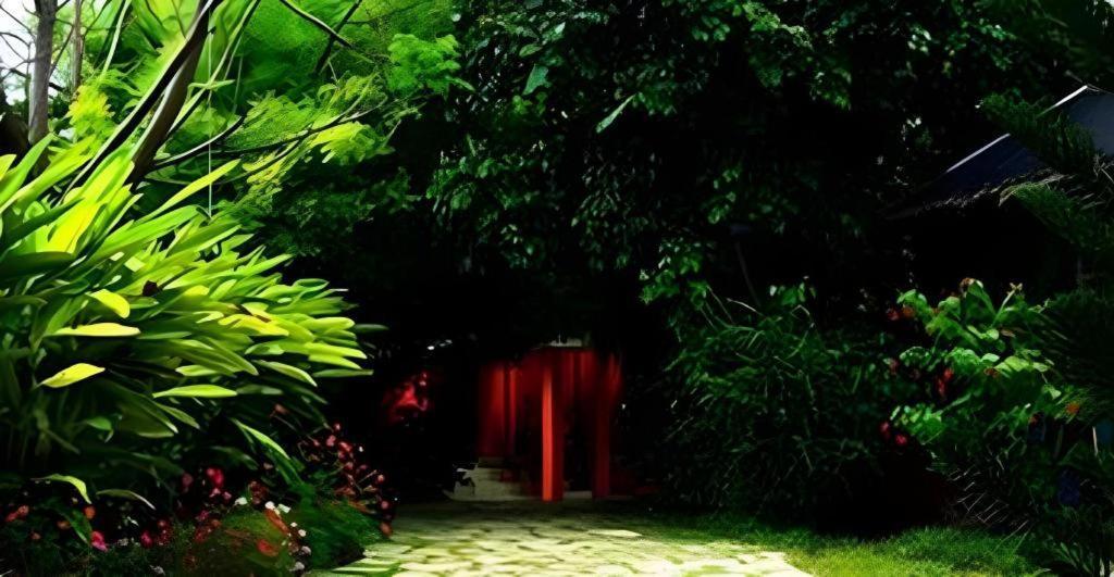 Alta Cebu Resort Kültér fotó